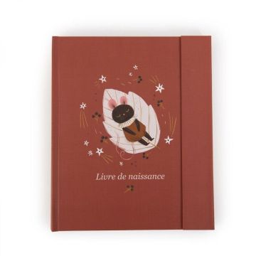 Livre de naissance Moulin Roty, Après la pluie, 80 pages en français