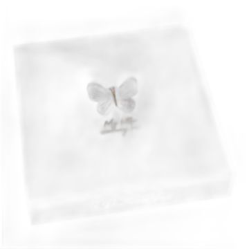 Coffret souvenirs naissance Little Dutch Fille