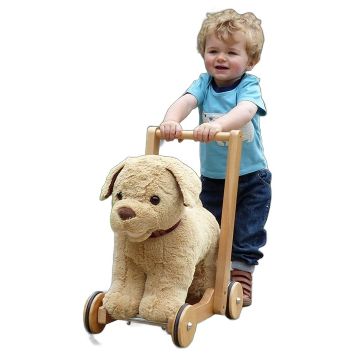 Trotteur Chien Dexter Little Bird Told Me - Dès 12 mois